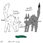 مخاوف القطط