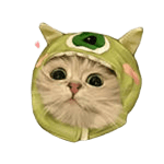 معلومات عن القطط